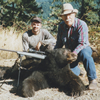 Fall Black Bear