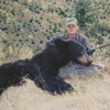 Fall Black Bear