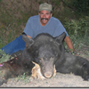 Fall Black Bear