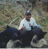 Fall Black Bear