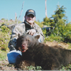 Fall Black Bear