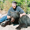 Fall Black Bear