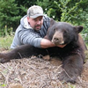 Fall Black Bear