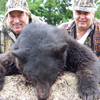 Fall Black Bear