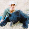 Fall Black Bear