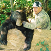Fall Black Bear