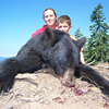 Fall Black Bear