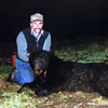 Spring Black Bear