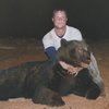 Spring Black Bear