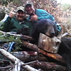 Spring Black Bear