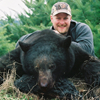 Spring Black Bear