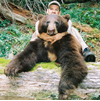Spring Black Bear
