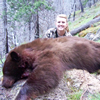 Spring Black Bear