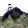 Spring Black Bear
