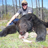 Spring Black Bear