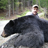 Spring Black Bear