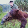 Spring Black Bear