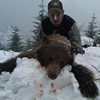 Spring Black Bear