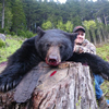 Spring Black Bear