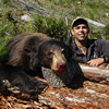 Fall Black Bear