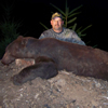 Fall Black Bear