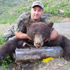 Fall Black Bear